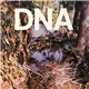 DNA - A Taste Of DNA