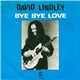 David Lindley - Bye Bye, Love